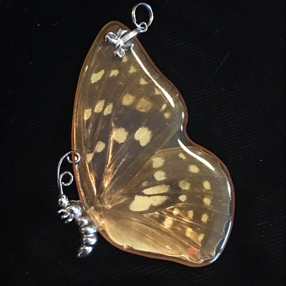 Sterling Silver Butterfly Wing incased in Resin Pendant (7 cm Total Length) - Picture 5 of 17